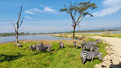 Lake Nakuru National Park - Photo 5
