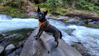 Clackamas County - Photo 5