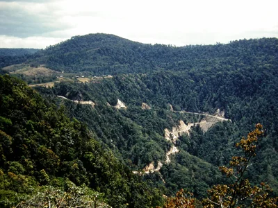 Eungella - Photo 4