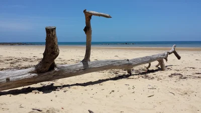 Mission Beach - Photo 4