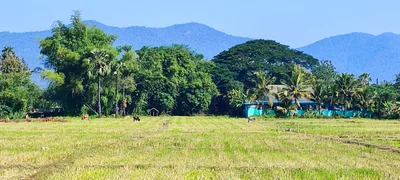 San Kamphaeng - Photo 2