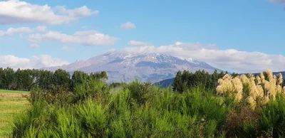 National Park Village - Photo 4
