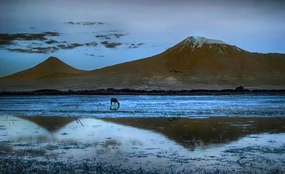 Ararat - Photo 4