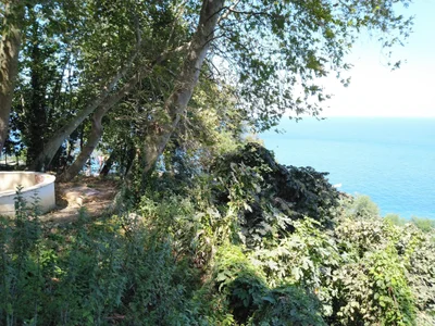 Giresun - Photo 3