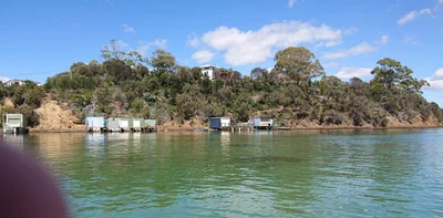 Dodges Ferry - Photo 5