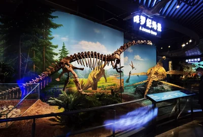 Chengjiang - Photo 3