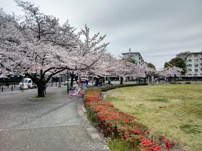 Fuchu - Photo 4