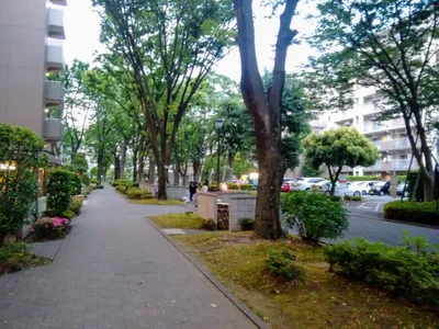 Fuchu - Photo 5