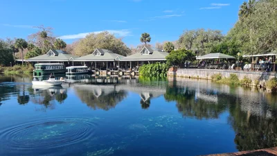 Silver Springs - Photo 2