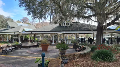 Silver Springs - Photo 3