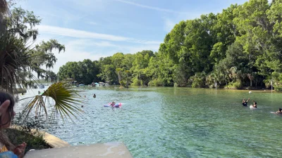Salt Springs - Photo 2