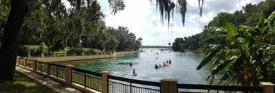 Salt Springs - Photo 5
