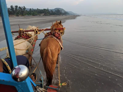 Murud - Photo 4
