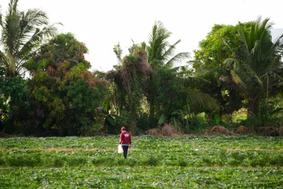 Bongabon - Photo 4