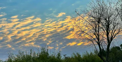 Shaoyang - Photo 4