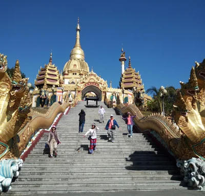 Mang City - Photo 2