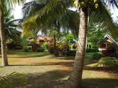 Lamae - Photo 3