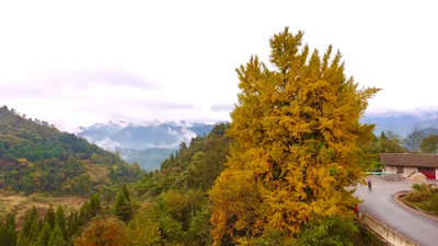 Suiyang County - Photo 2