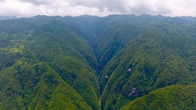 Suiyang County - Photo 3