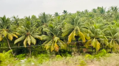 Kumta - Photo 4
