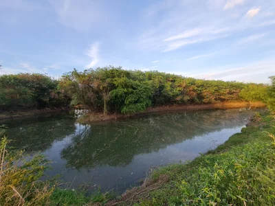 Wichian Buri - Photo 3