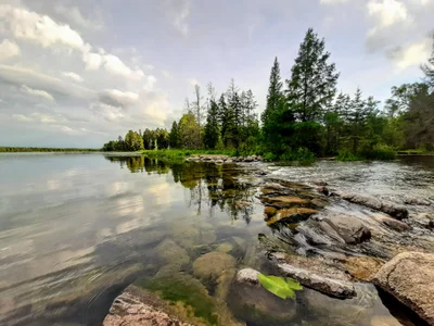 Lake Itasca - Photo 3