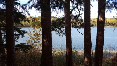 Lake Itasca - Photo 5