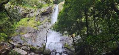 Ujire - Photo 5
