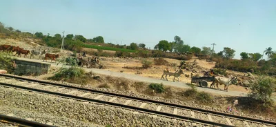 Virpur - Photo 5