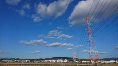 Joyo - Photo 3