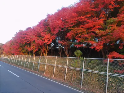 Naka - Photo 2