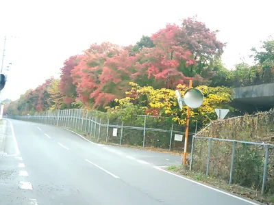 Naka - Photo 3