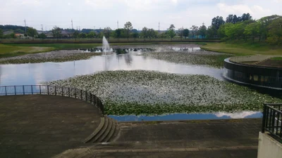 Naka - Photo 5