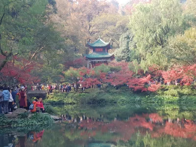 Changsha County - Photo 4