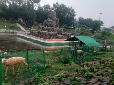 Pakur - Photo 2