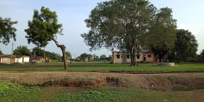 Kamargaon - Photo 2
