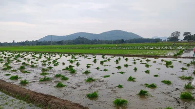 Belakavadi - Photo 2