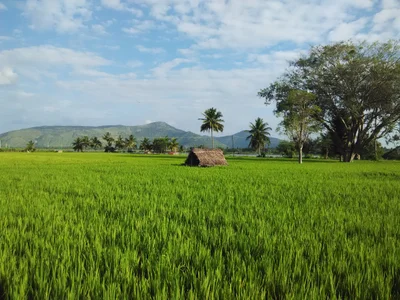 Belakavadi - Photo 3