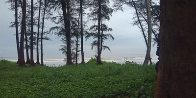 Kelwa - Photo 2