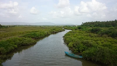 Kelwa - Photo 3