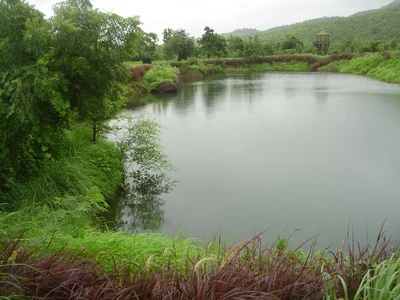 Kelwa - Photo 5