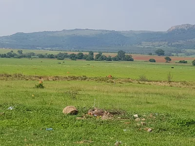 Zululand - Photo 2