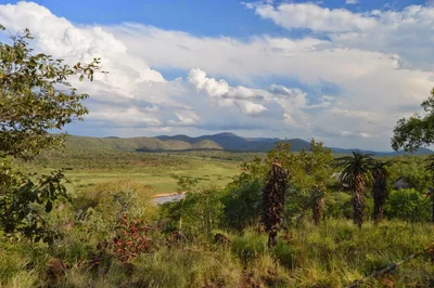 Zululand - Photo 5
