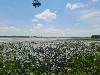 Kantharawichai - Photo 2