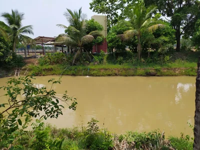 Kantharawichai - Photo 4