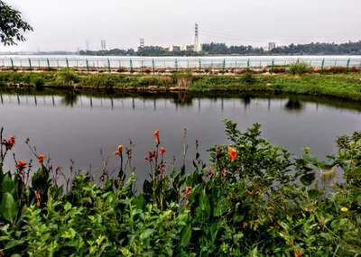 Jinjiang - Photo 2
