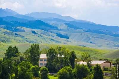 Togyzbulak - Photo 5
