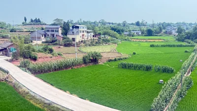 Neijiang - Photo 4