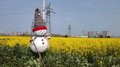 Deyang - Photo 4