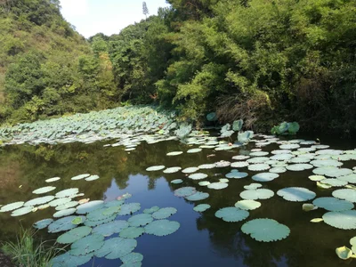 Renhua County - Photo 3